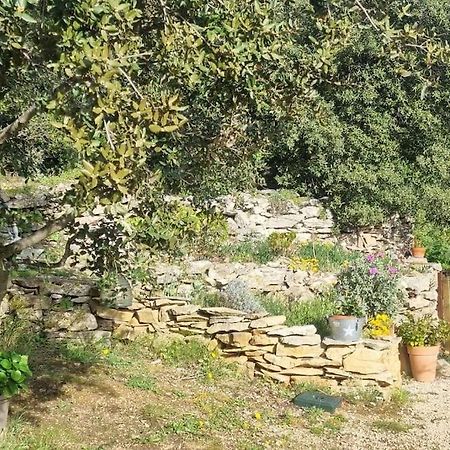Maisonnette Chez L'Habitant ลาซิโอตาต์ ภายนอก รูปภาพ
