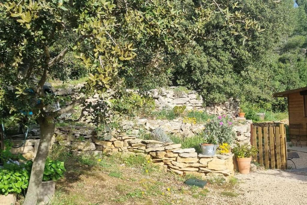 Maisonnette Chez L'Habitant ลาซิโอตาต์ ภายนอก รูปภาพ